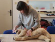 P. Neckářová stojí u stolu a nacvičuje první pomoc na figuríně psa, která leží na boku. Soustředěně drží hlavu a trup při ukázce postupu