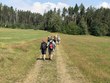 Na fotografii je zachycena skupina účastníků. Kráčí s batohy po polní cestě přes louku směrem k okraji hustého jehličnatého lesa. Je slunečný letní den a krajina působí klidně a prostorně